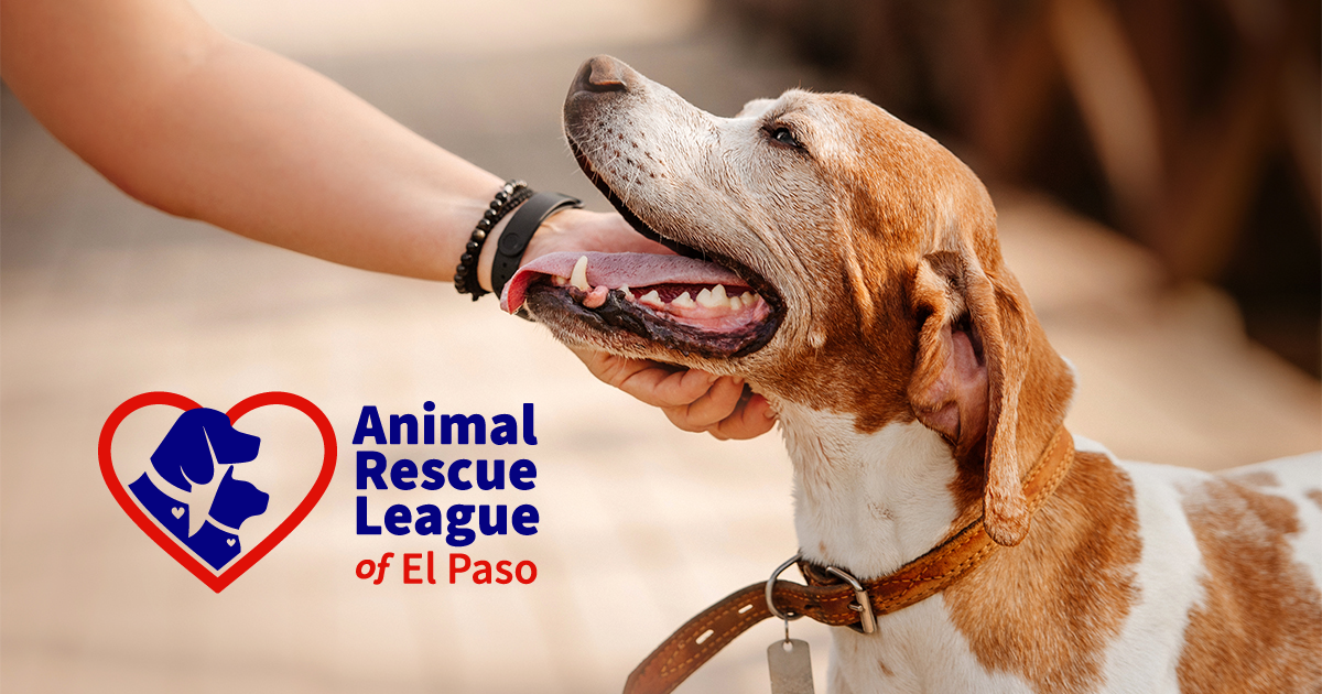 History & Mission - Animal Rescue League of El Paso | Pet Adoptions in El  Paso, Texas